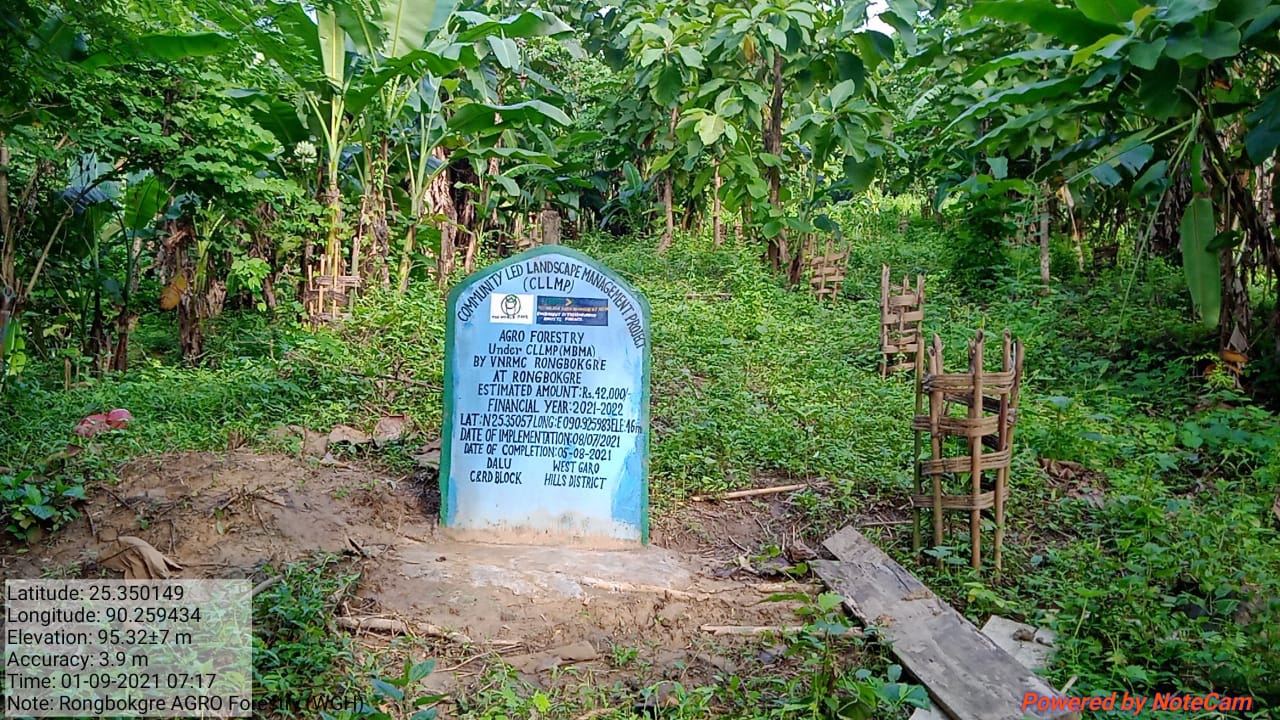 C:\Users\user\Downloads\Viilage insection photo\Dalu Block\Rongbokgre\forestry ronbokgre.jpg